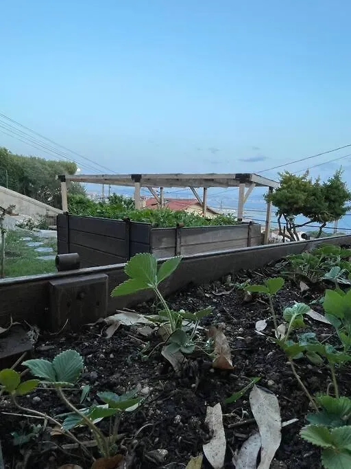 Appartement Superbe Terrasse Avec Vue Panoramique Sur La Mer à Marseille 0*,  France
