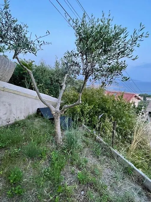 Lejlighed Superbe Terrasse Avec Vue Panoramique Sur La Mer Marseille Frankrig